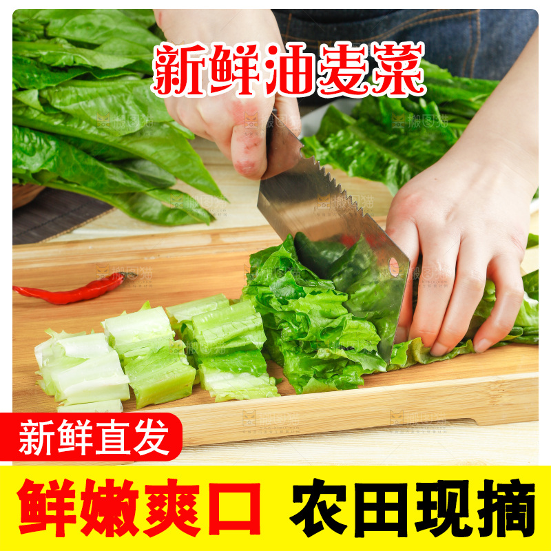 菜板上正在切香麦菜