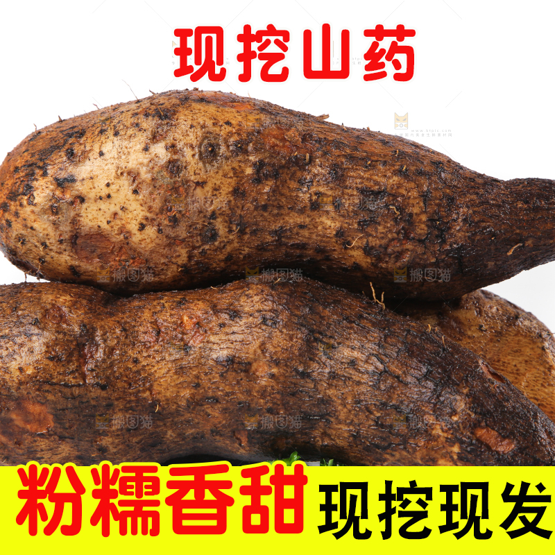 白底上的糯米金秤砣山药