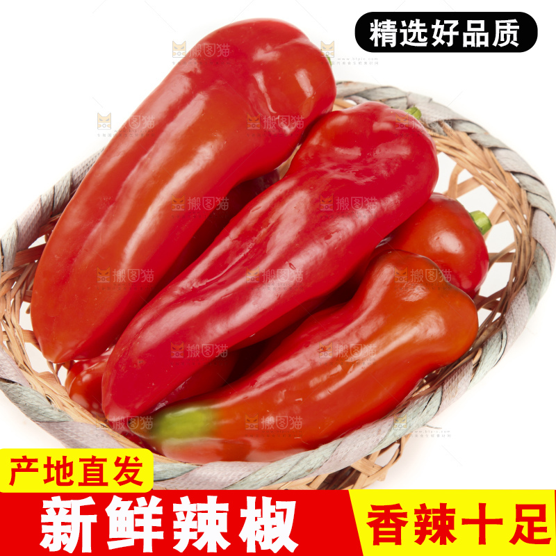 白底上的红甜椒