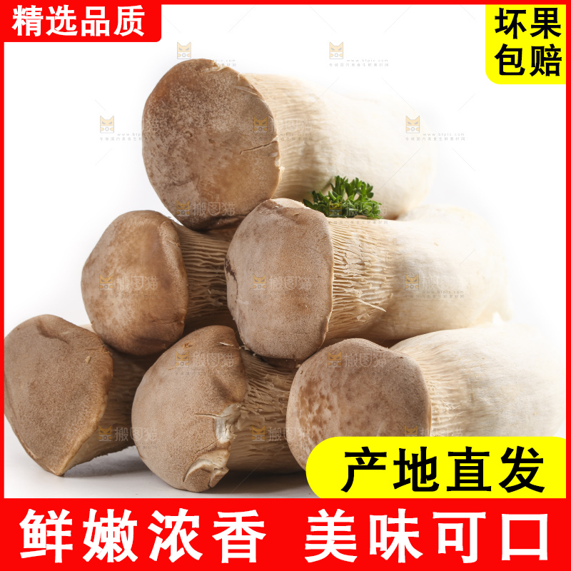 白底上放着大鸡腿菇