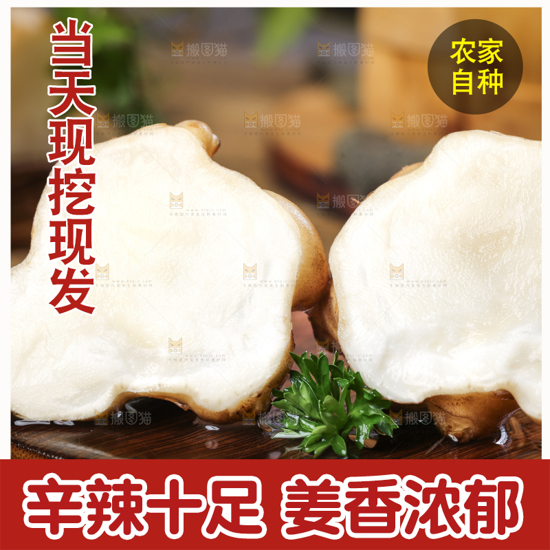木板上的洋姜