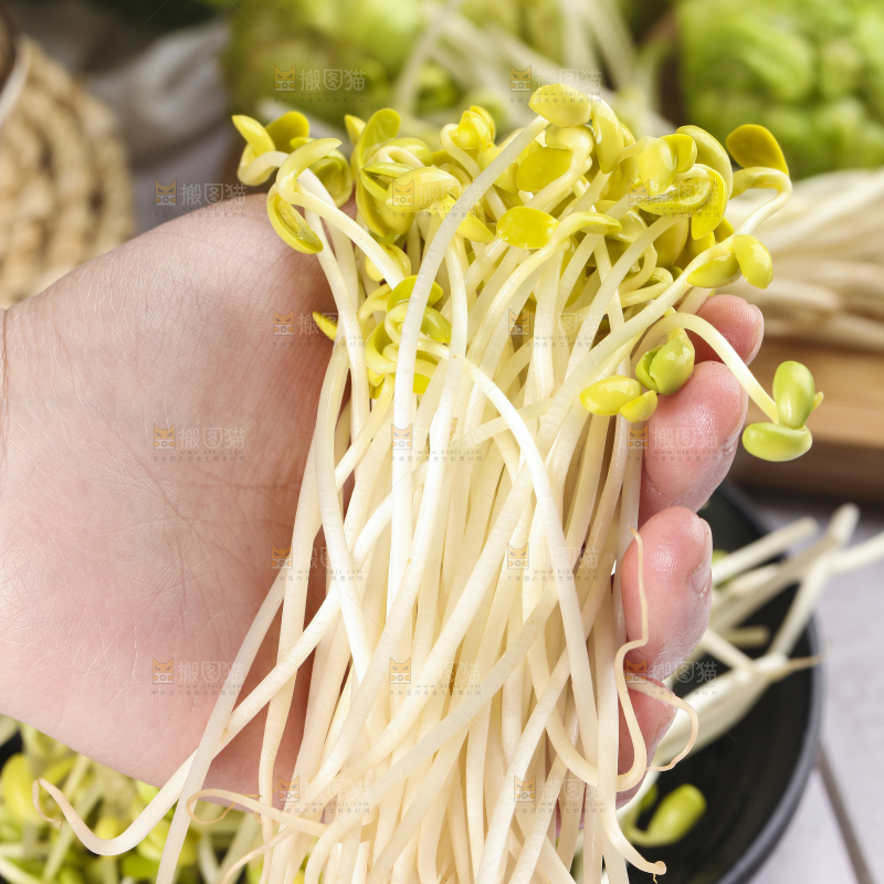 手里拿着黄豆芽