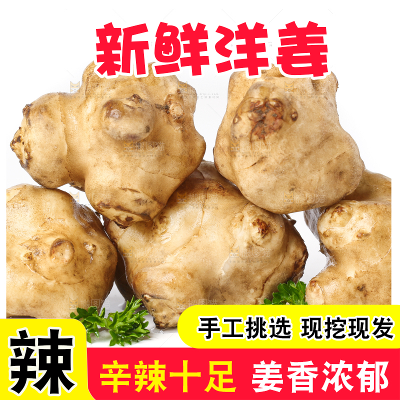 白底上的陕北高原洋姜