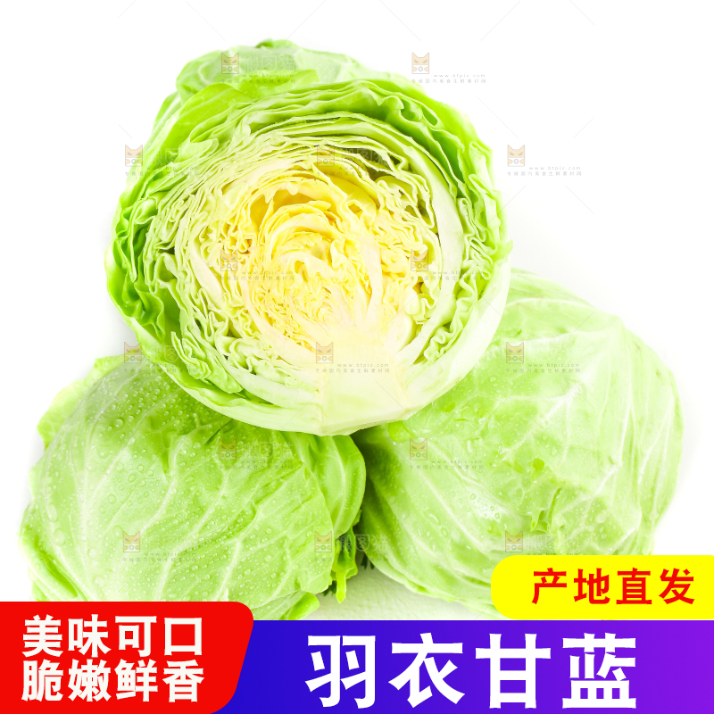 白底上摆放着包菜