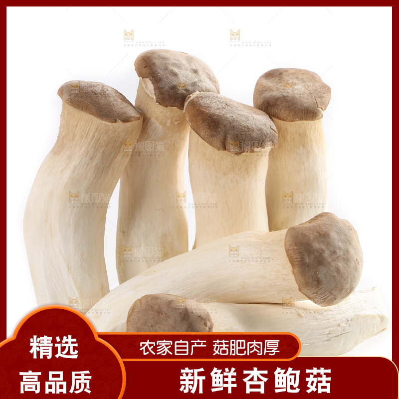 白底上放着大鸡腿菇