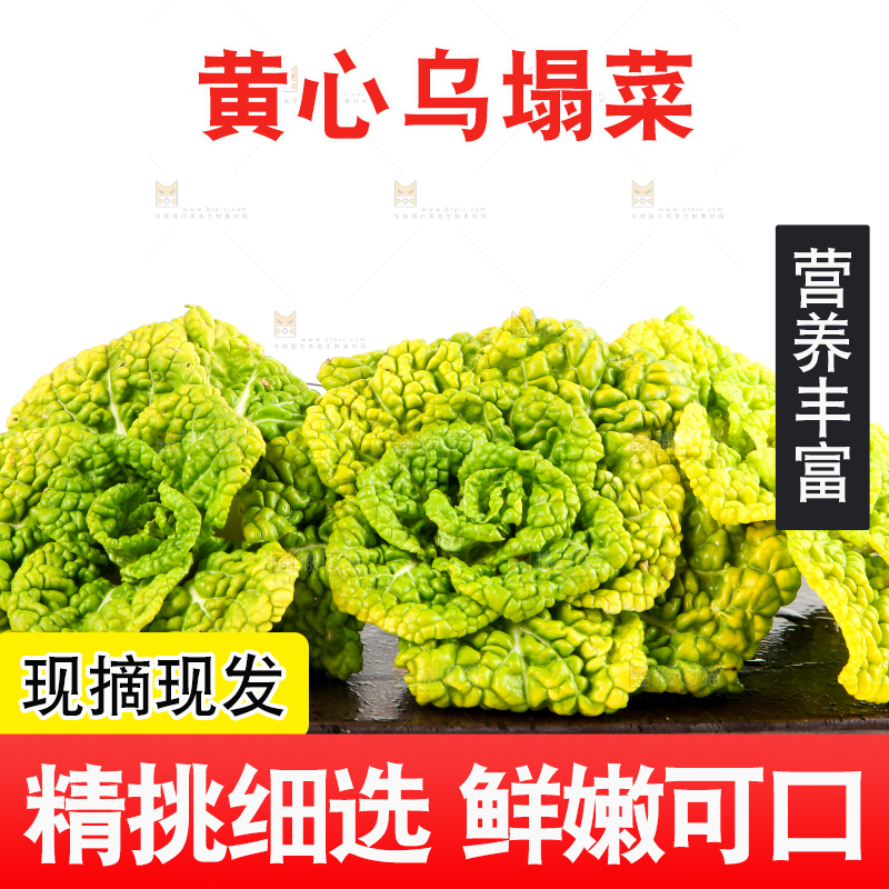 白底上摆放着黄心白菜