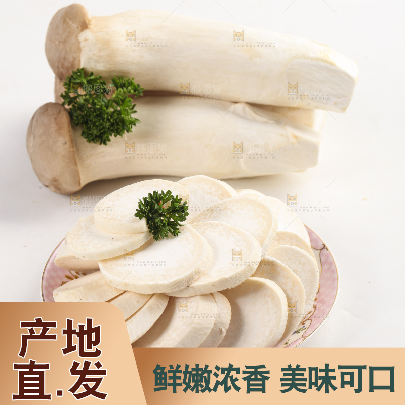 白底上放着新鲜杏鲍菇