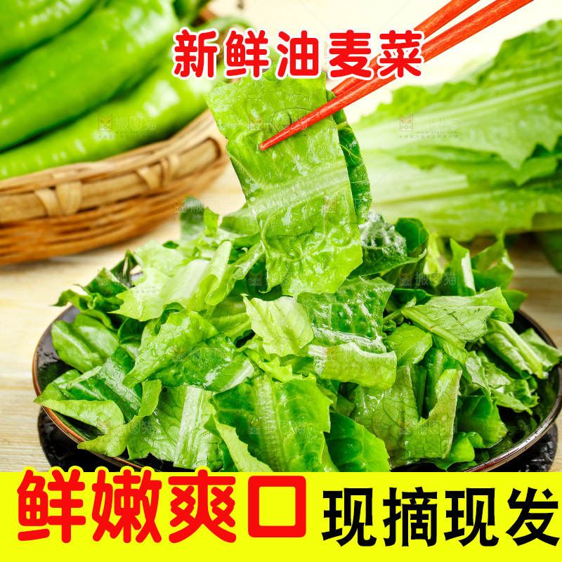 筷子上夹着新鲜油麦菜