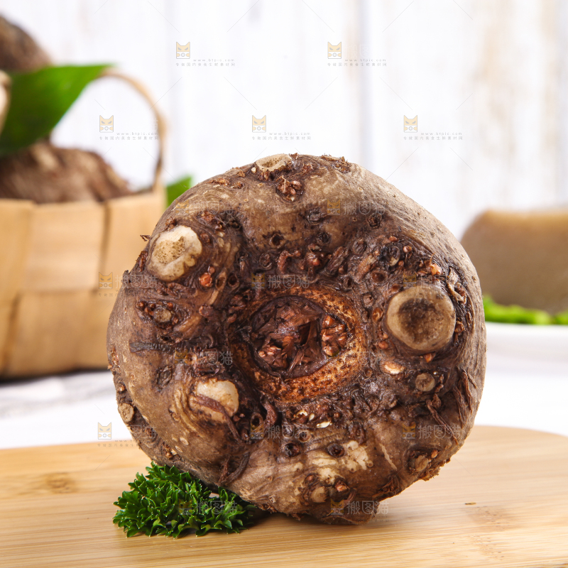 木底上的贵州生魔芋