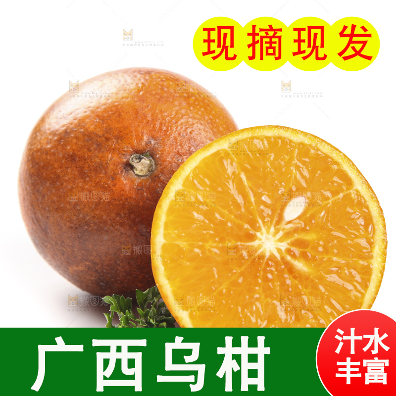白底上放着新鲜乌柑