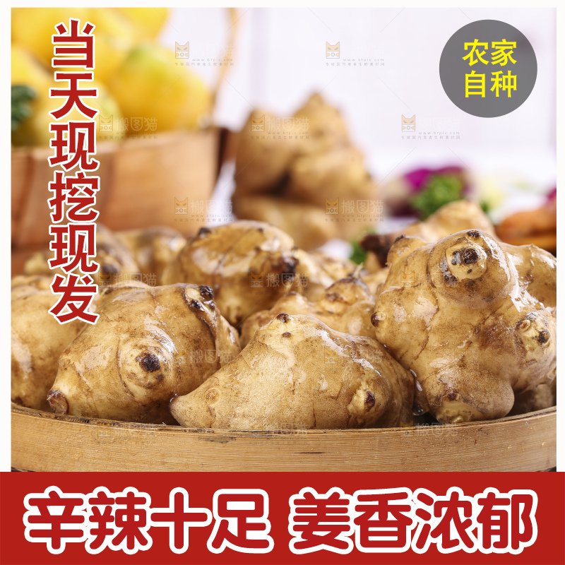 石板上放着菊姜
