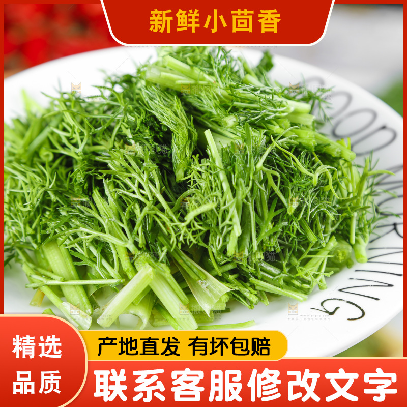 盘子里的云南小茴香菜