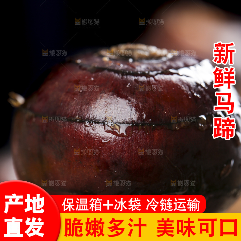 手里拿着菩荠