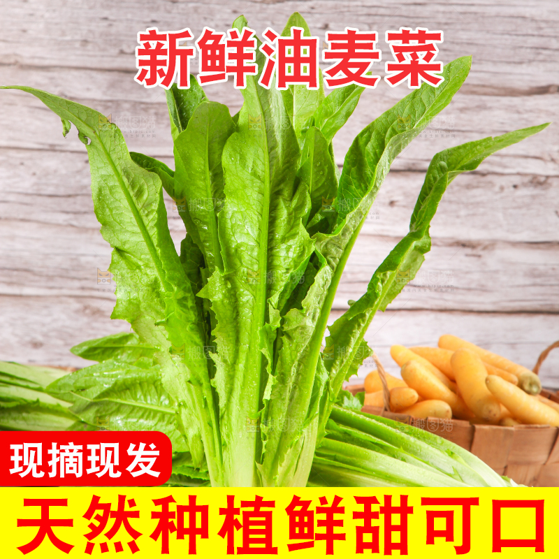 白格子底上放着新鲜油麦菜