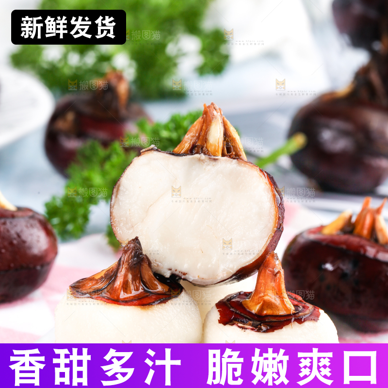 彩底上放着红马蹄