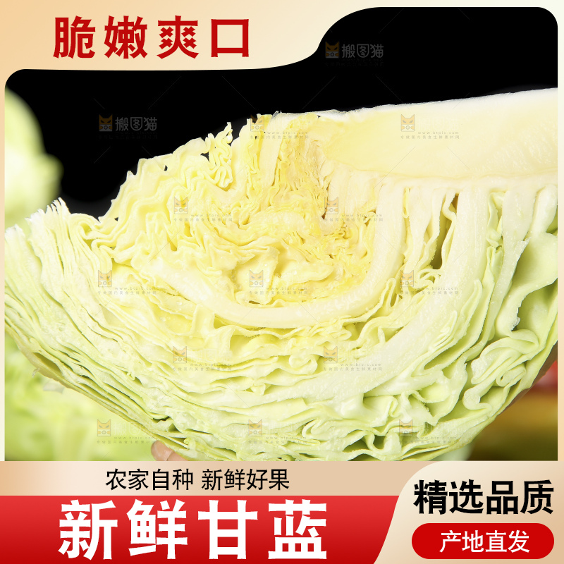 手里拿着洋白菜