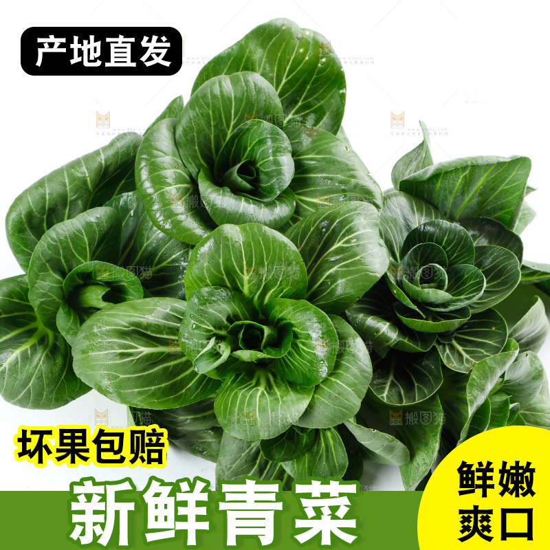 白底上放着上海青