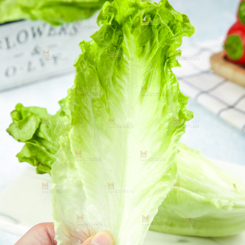 手里拿着生菜
