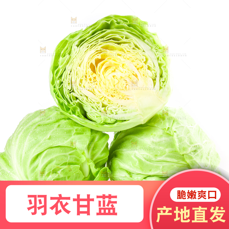 白底上摆放着包菜