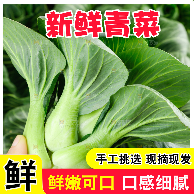 白底上的绿叶菜