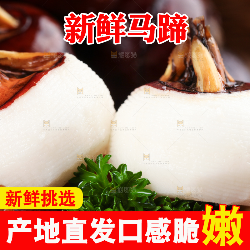 深底上的广西荔浦马蹄