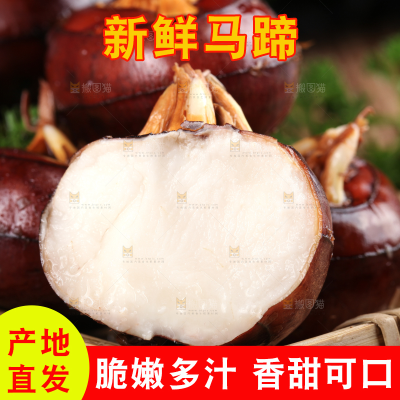 篮子里的红马蹄