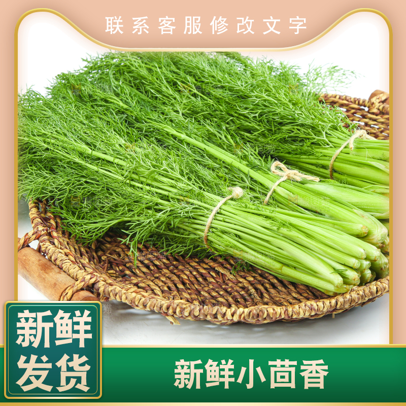 白底上放着小茴香