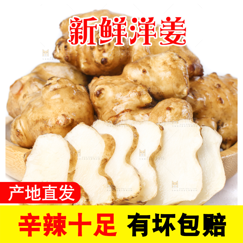 白底上的陕北高原洋姜