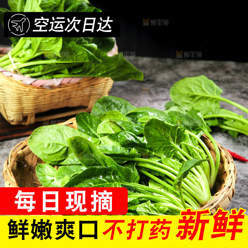 篮子里的红根菠菜