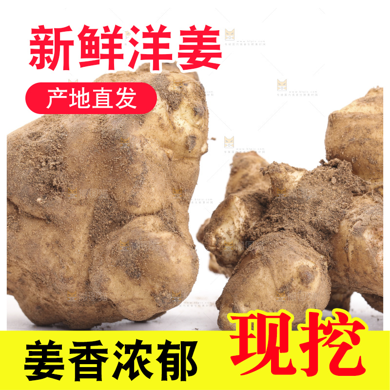 白底上摆放着新鲜洋姜