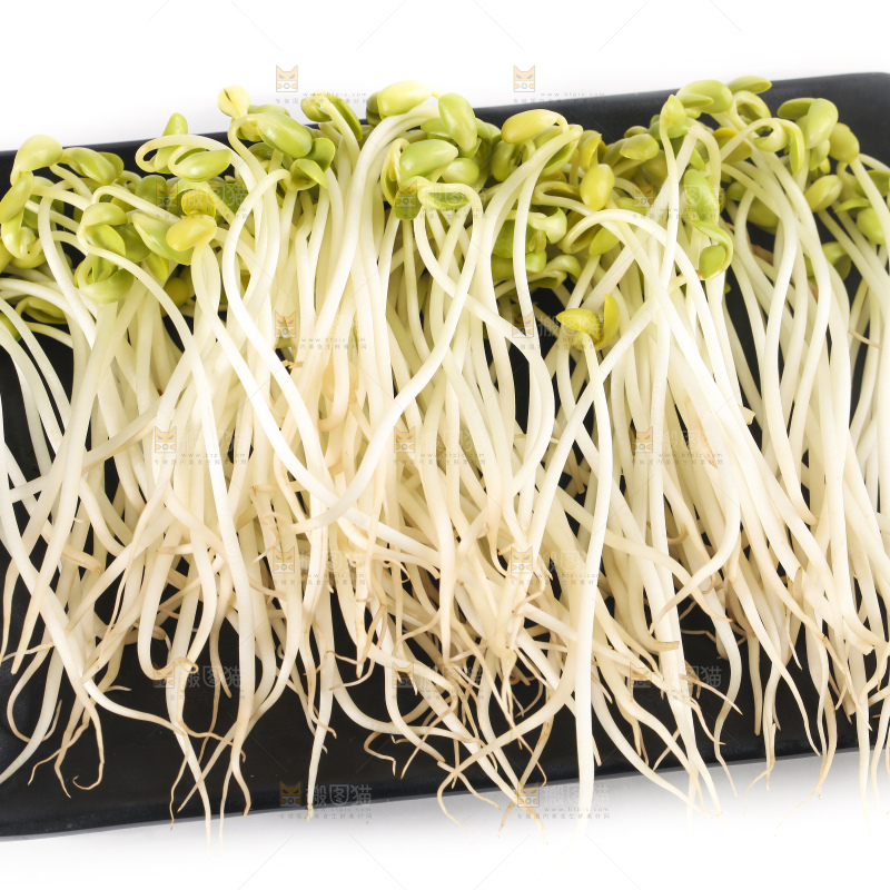 盘子里装着黄豆芽