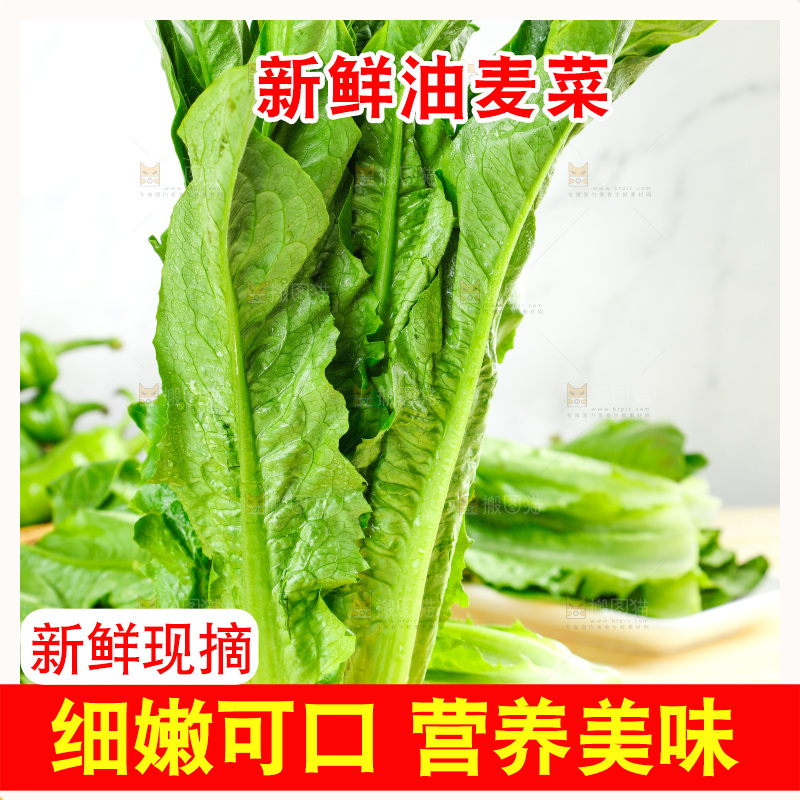 木板上的米香油麦菜
