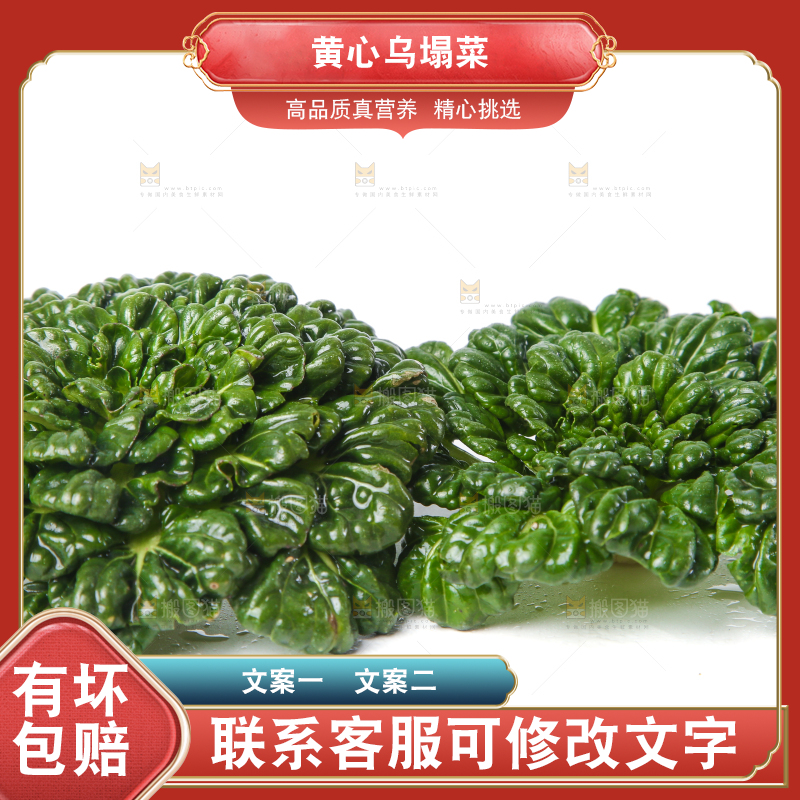 白底上的菊花菜