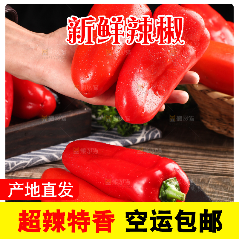 石板上的山东红辣椒