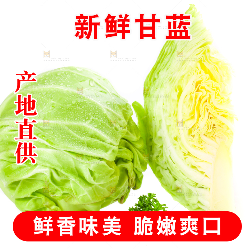 白底上摆放着包菜