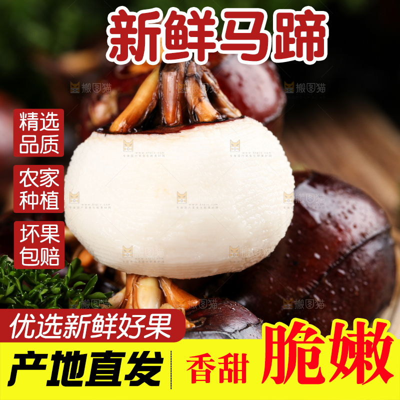 篮子里的红马蹄