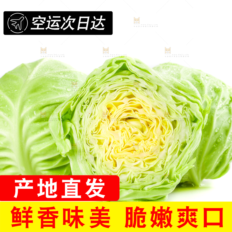 白底上摆放着包菜