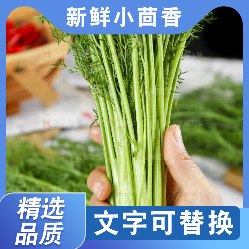 手里拿着小茴香