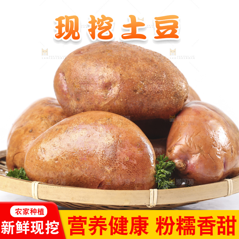 篮子里装着新鲜土豆
