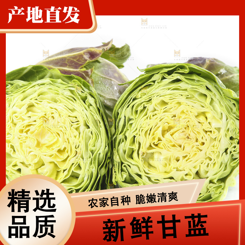 白底上摆放着甘蓝