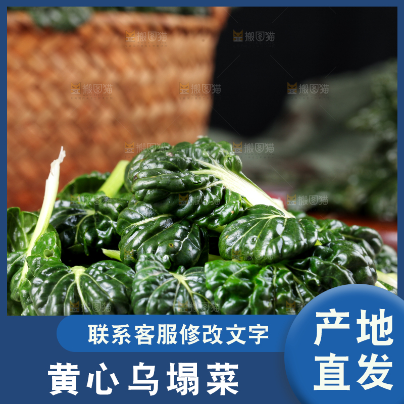 盘子里装着农家菊花菜