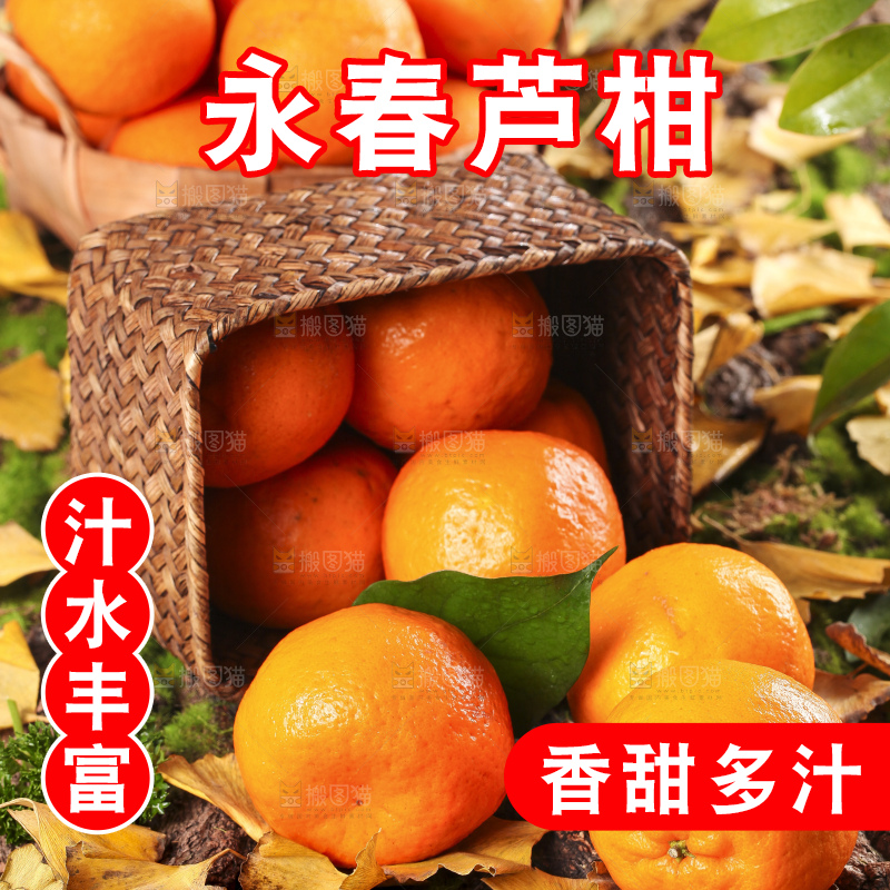 篮子里装着新鲜芦柑