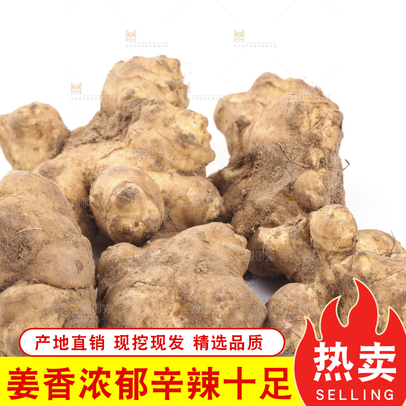 白底上摆放着新鲜洋姜