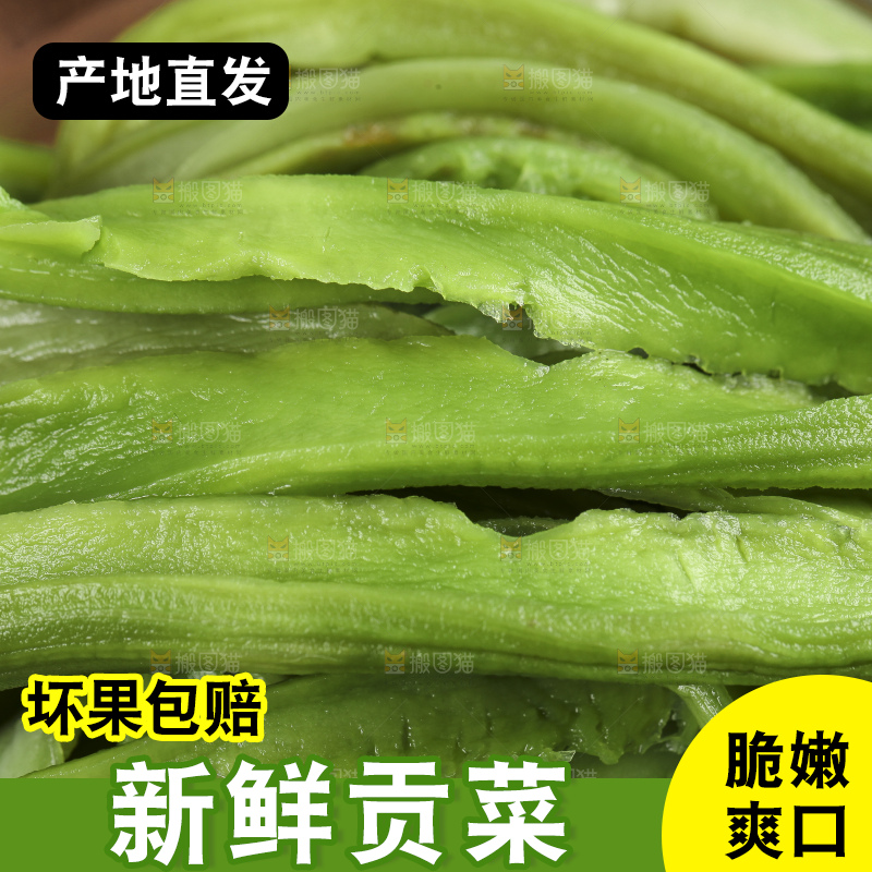 碗里的涡阳贡菜