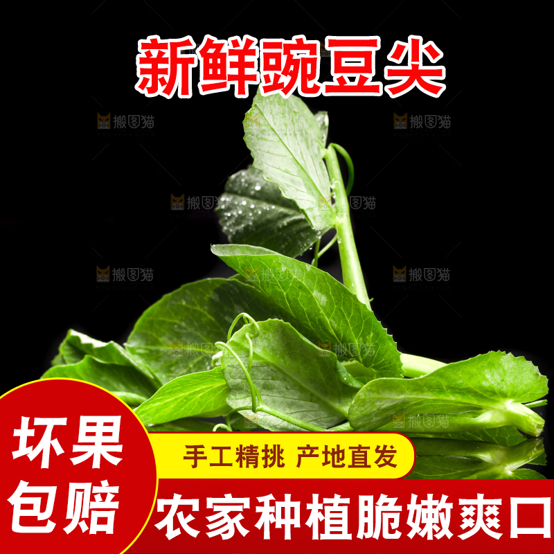 深底上的四川豌豆尖