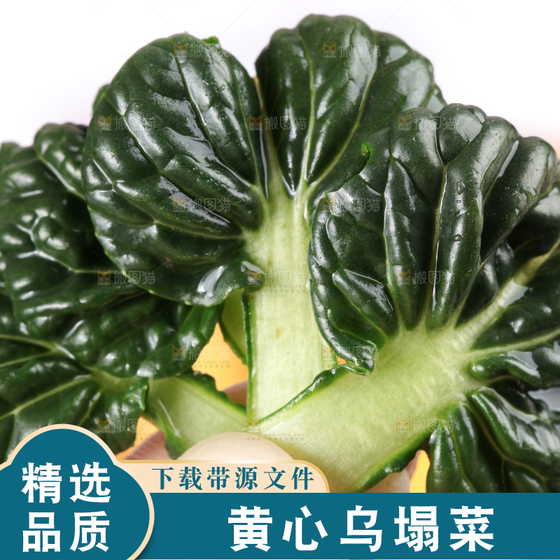 浅底上放着菊花菜