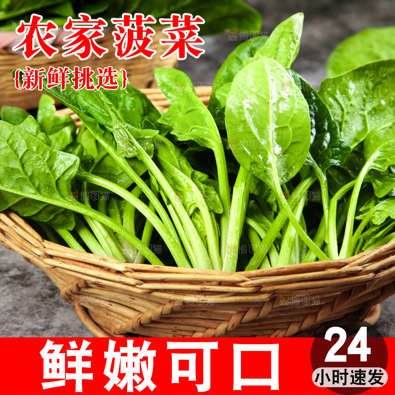 篮子里的红根菠菜
