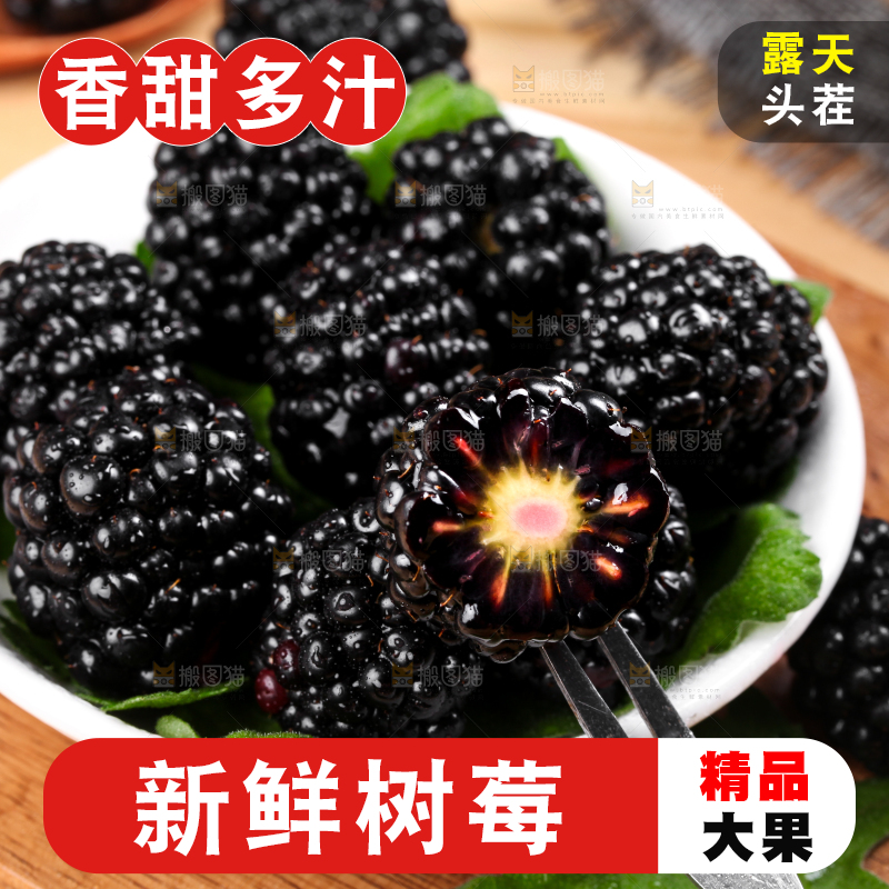 叉子叉着黑树莓