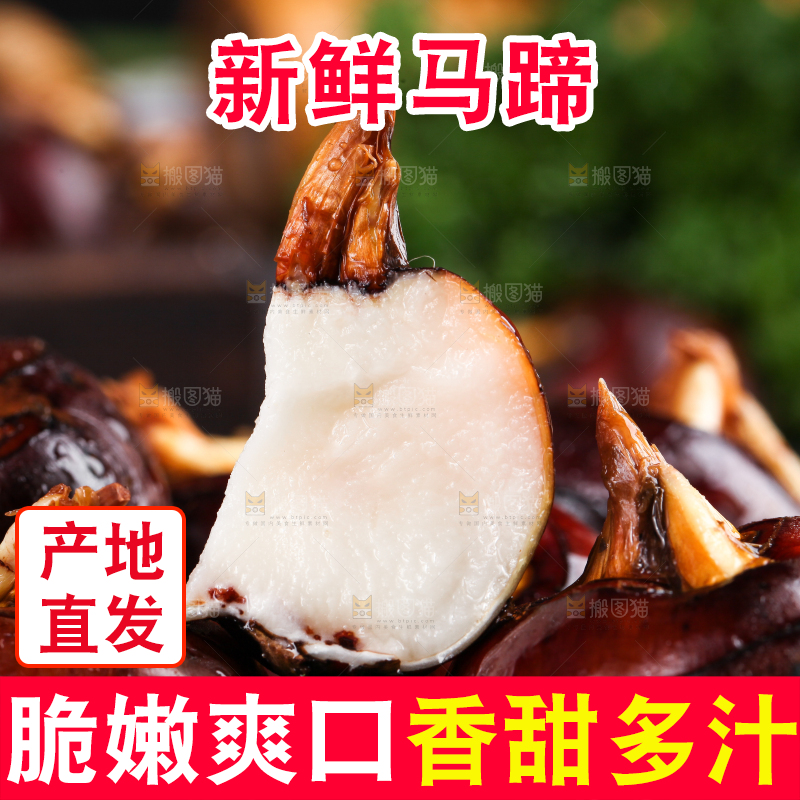 篮子里的红马蹄