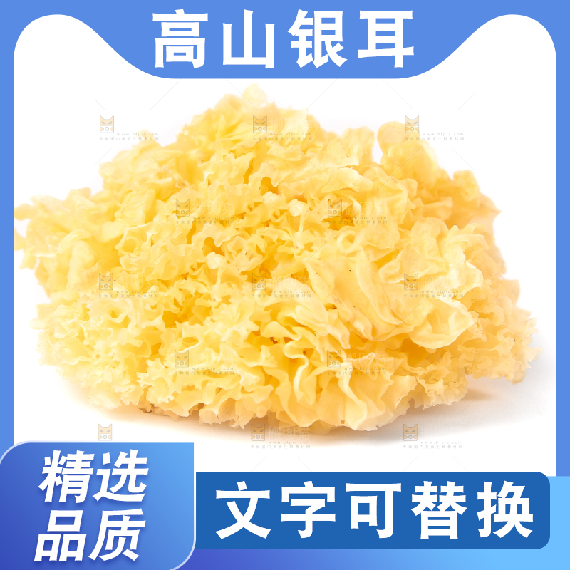 白底上的雪银耳